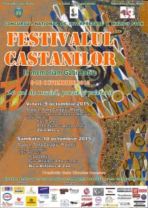 afis festival castanilor